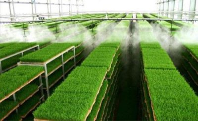 播种机投入农业种植育苗大大提高了生产效率